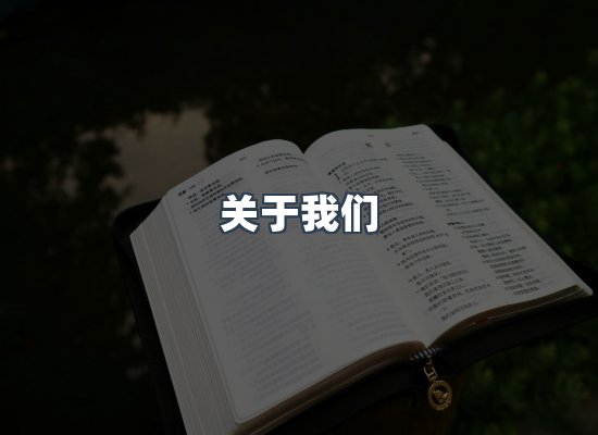 关于我们